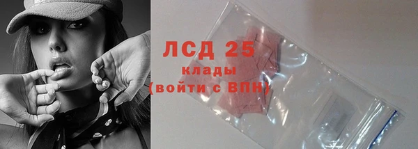 ГАЛЛЮЦИНОГЕННЫЕ ГРИБЫ Белая Холуница