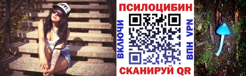 блэк спрут ссылка  Елизаветинская  Псилоцибиновые грибы Magic Shrooms 