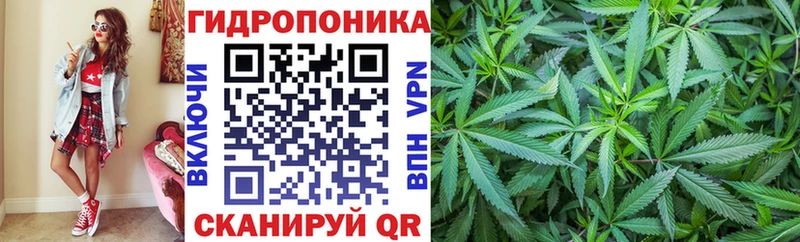 Каннабис Amnesia Елизаветинская